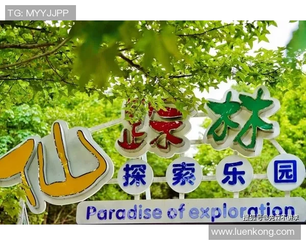 攀岩人生的探索与坚持：杨秀英的深度对话与心路历程