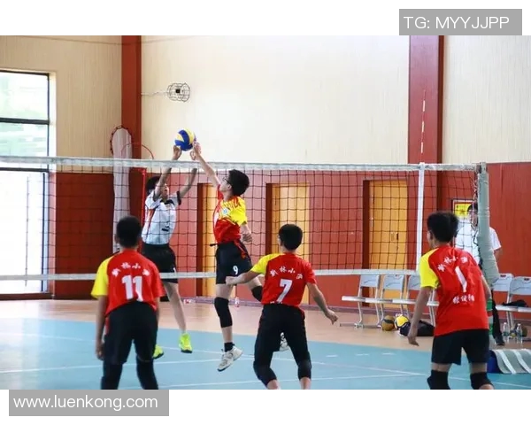 重庆排球队中路突破革新探索新战术提升整体实力与比赛竞争力