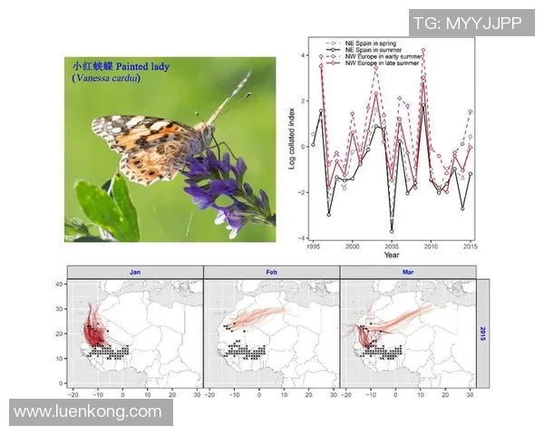 数据分析揭示WE团队协作表现的优势与改进空间